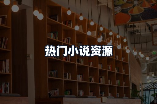 热门小说资源